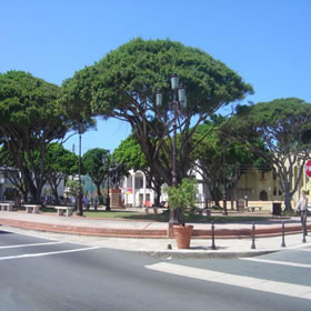 Dorado Plaza